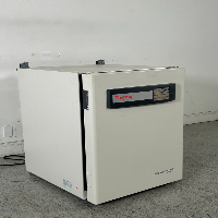 Thermo Scientific Heracell Vios 160i CO2 Incubator image 0